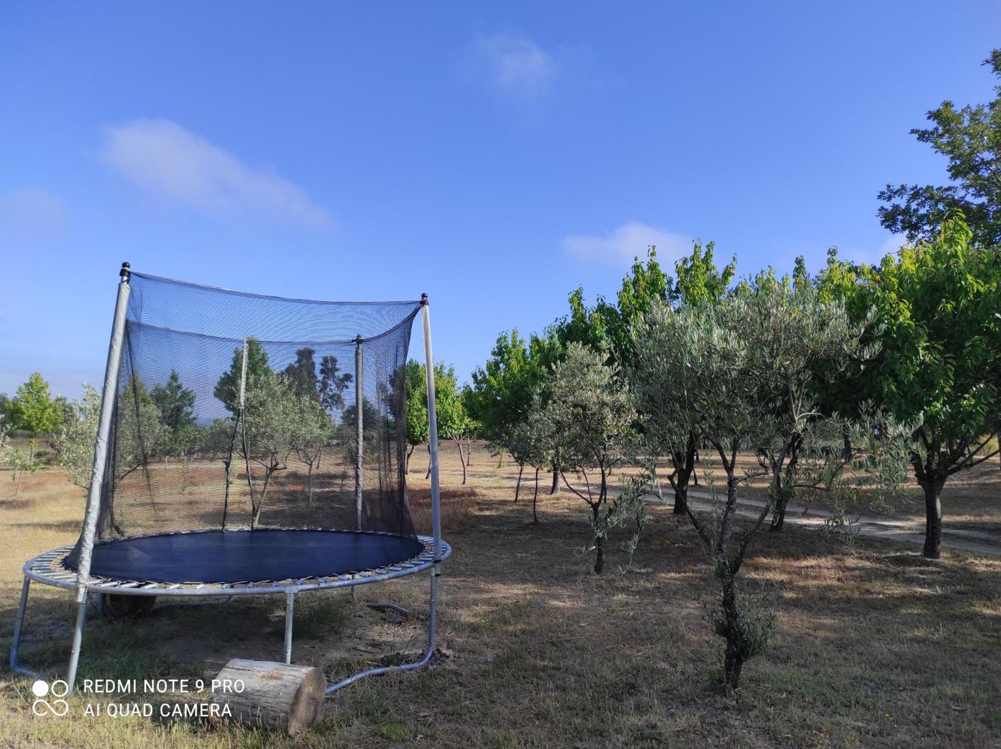セイア Quinta Damigoゲストハウス エクステリア 写真
